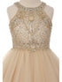 Girls Champagne Rhinestone Halter Neck Tulle Flower Girl Junior Bridesmaid Dress detail front 4-20 SophiasStyle.com